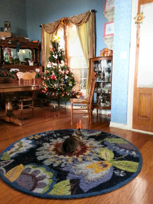 click for larger size