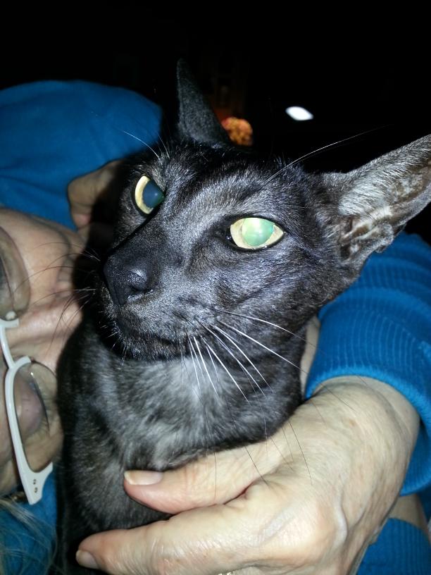 click for larger size