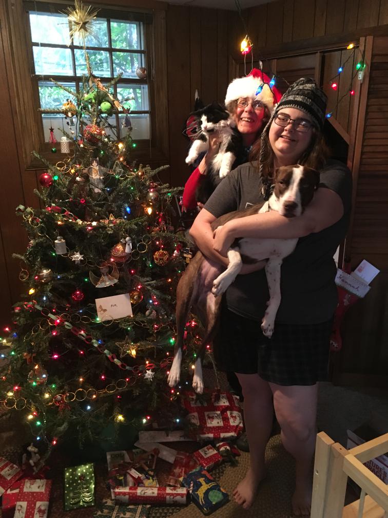 click for larger size