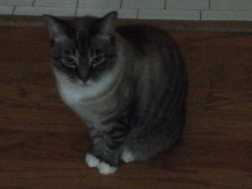 click for larger size