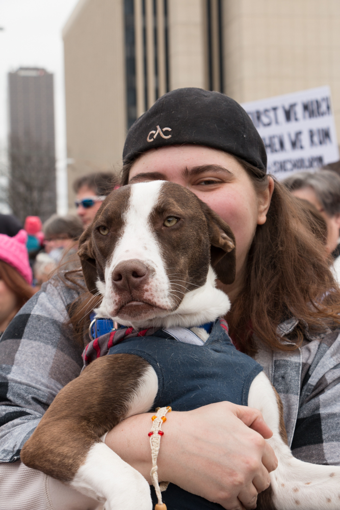 click for larger size