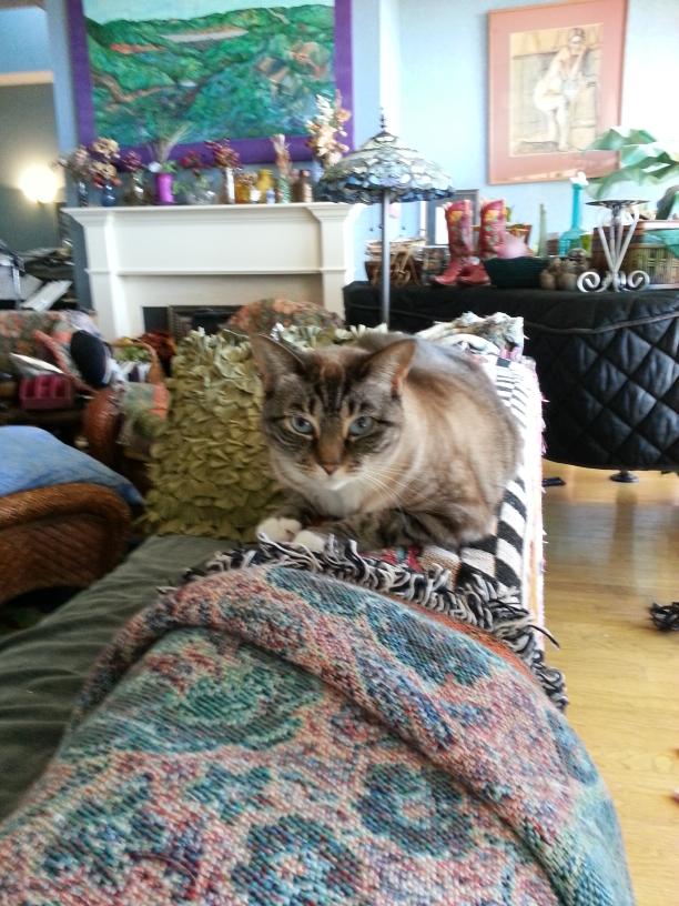 click for larger size