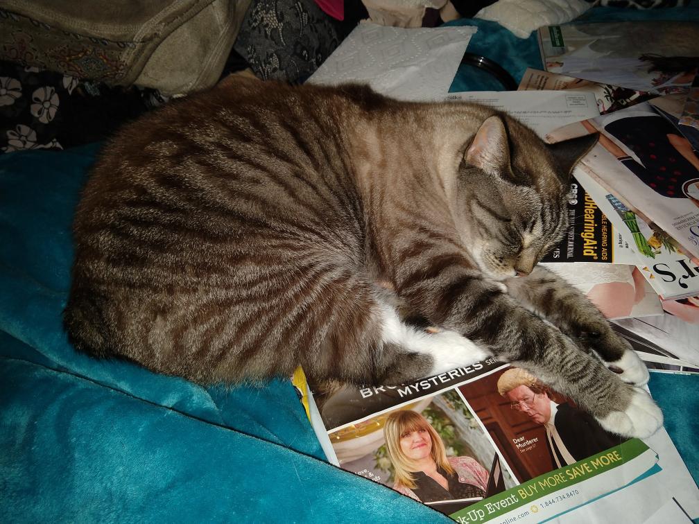 click for larger size