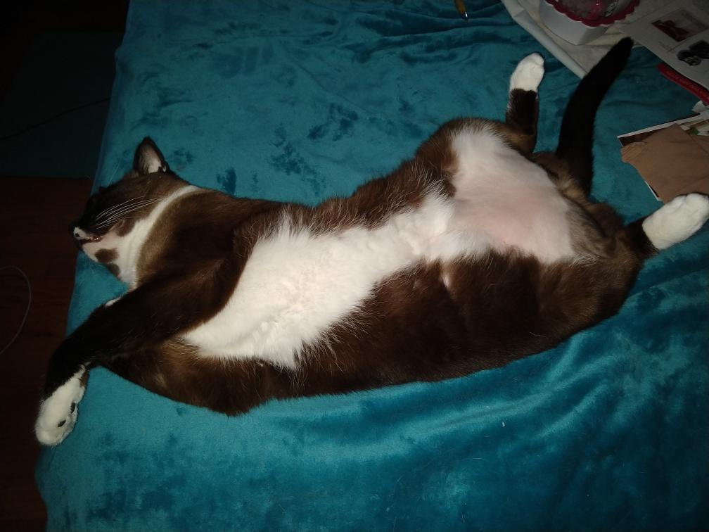 click for larger size