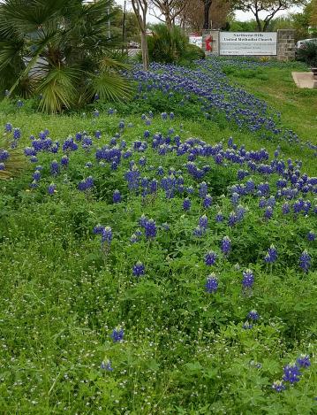 click for larger size