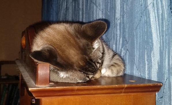 click for larger size