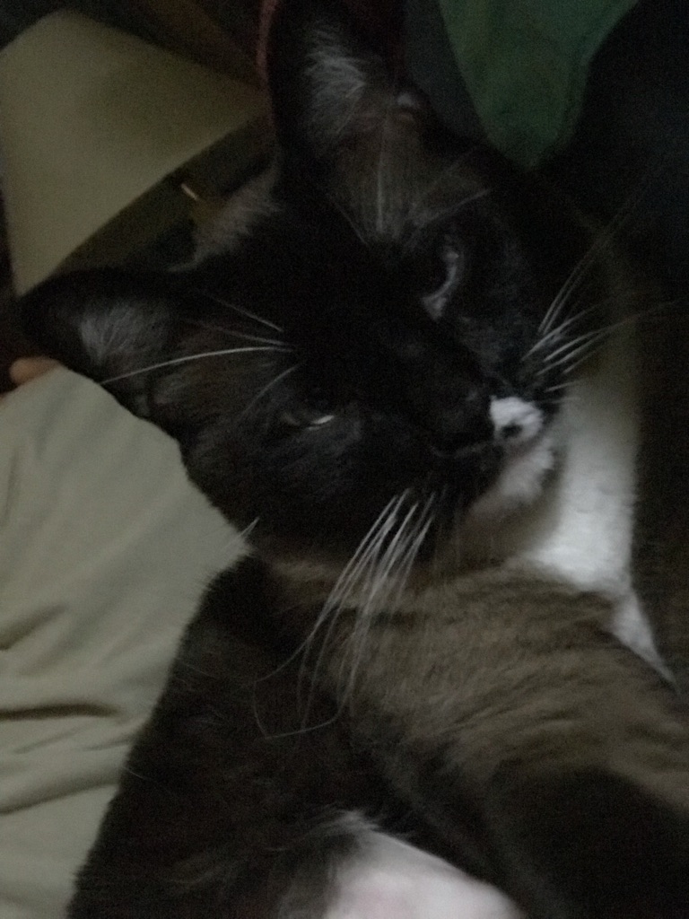 click for larger size