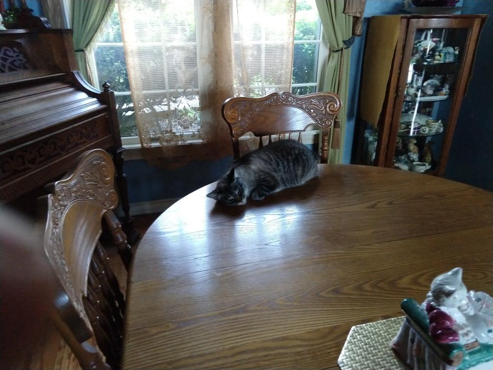 click for larger size