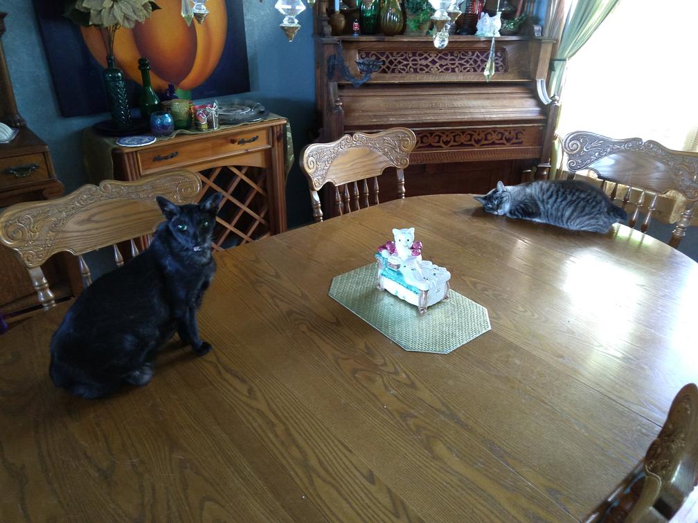 click for larger size