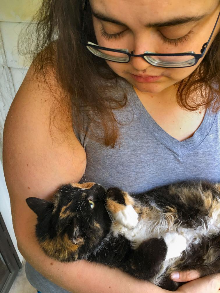 click for larger size