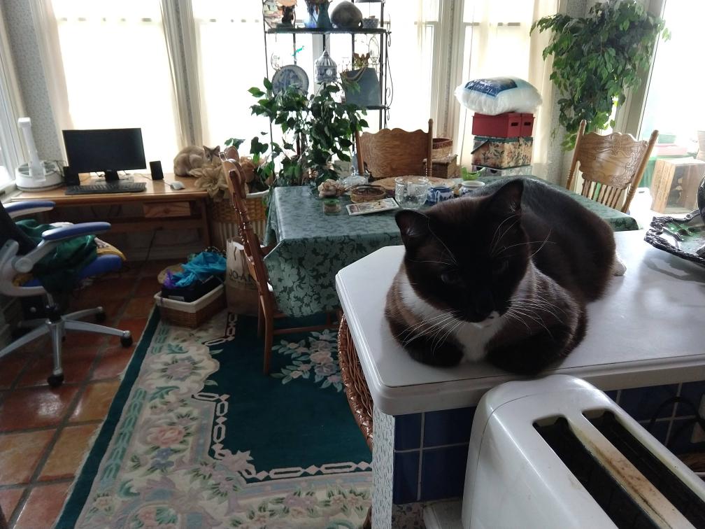 click for larger size