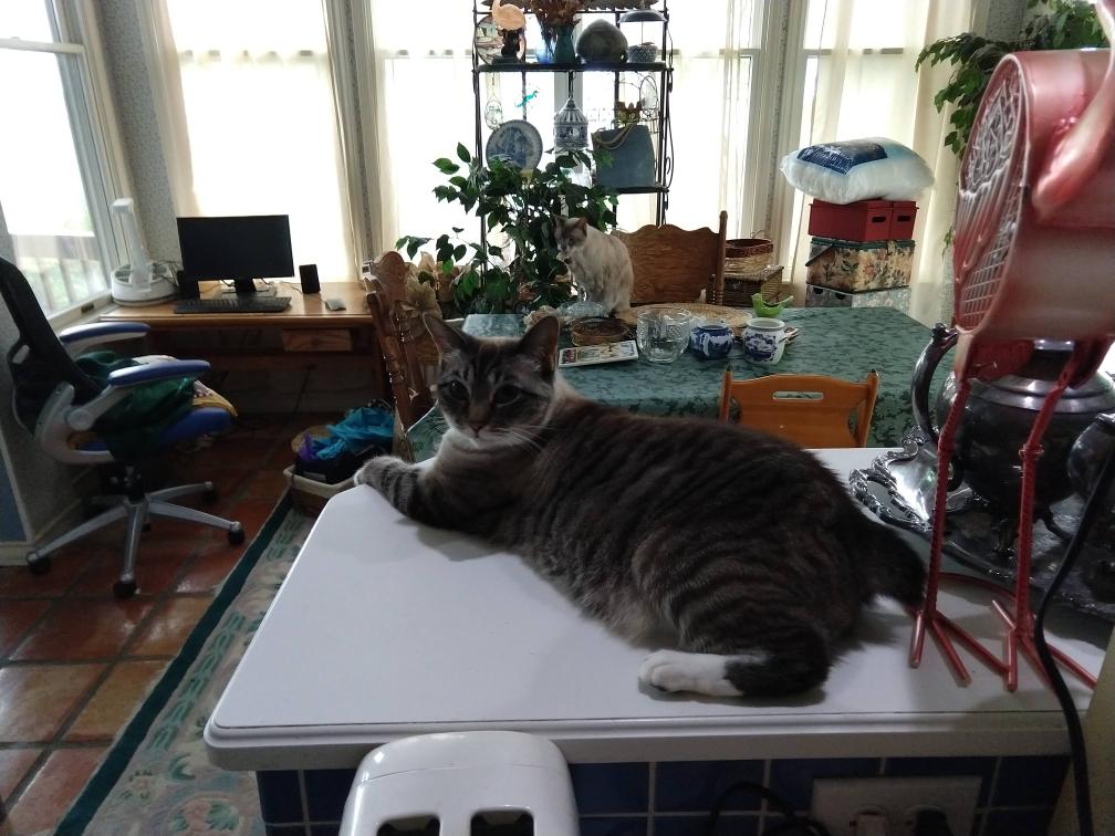 click for larger size