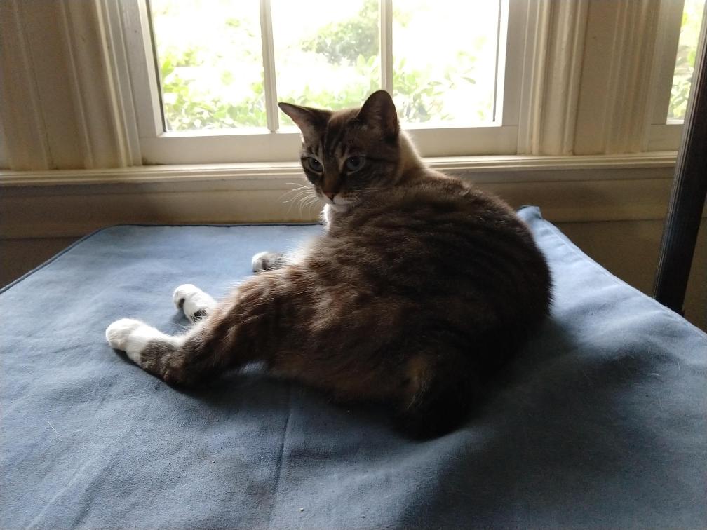 click for larger size