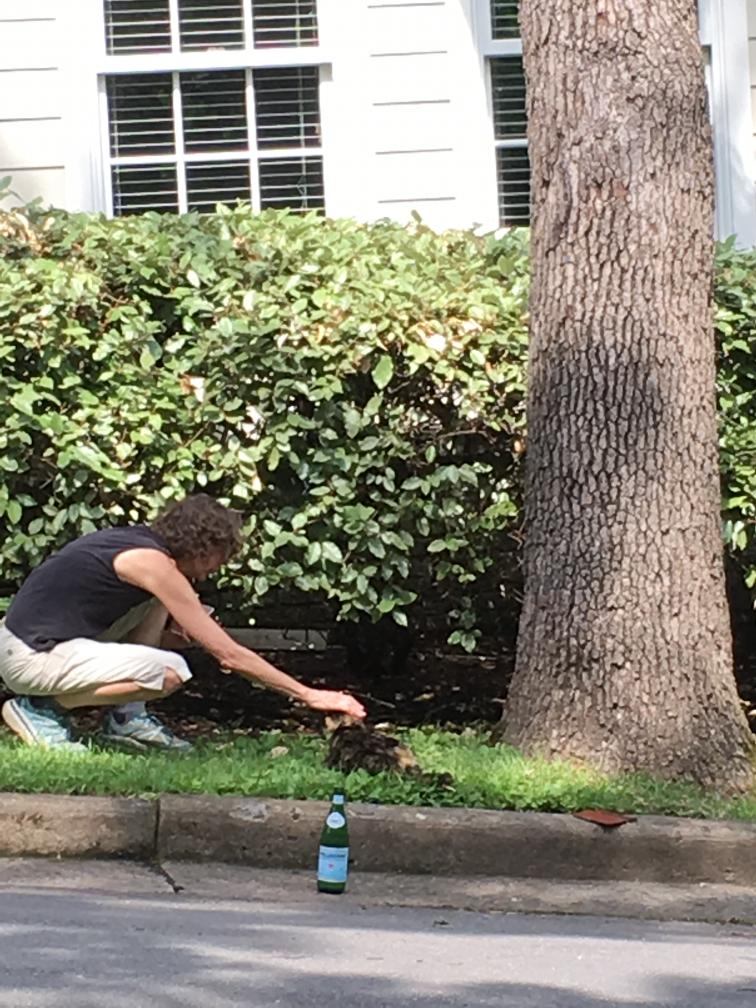 click for larger size