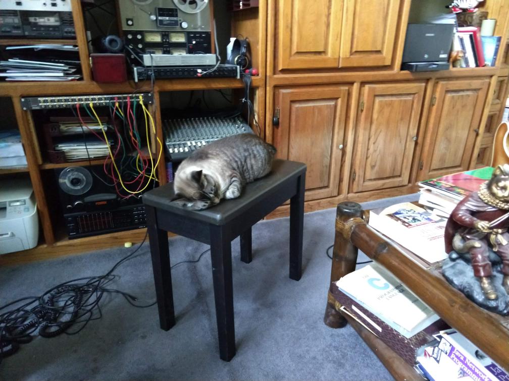 click for larger size