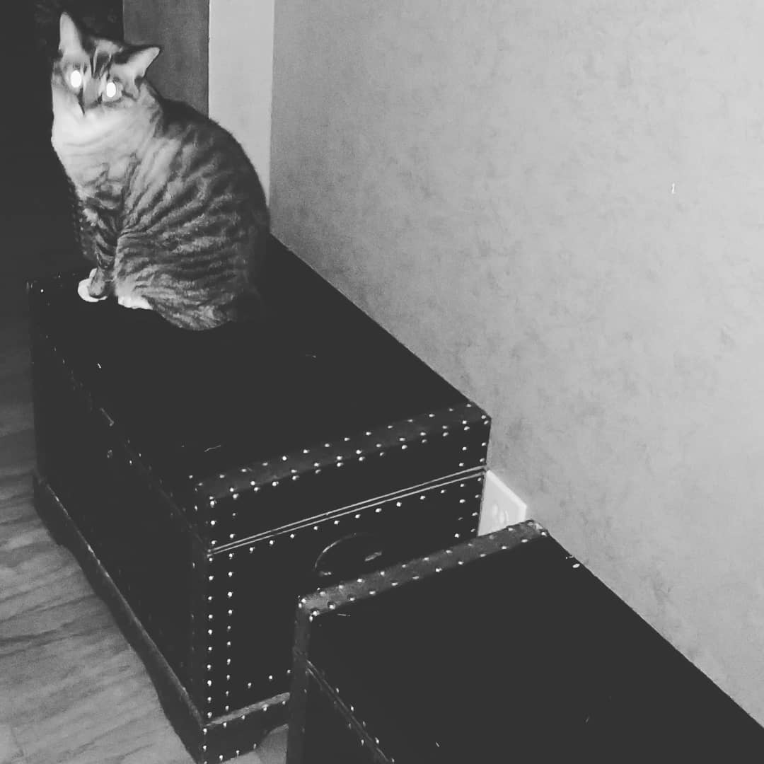 click for larger size