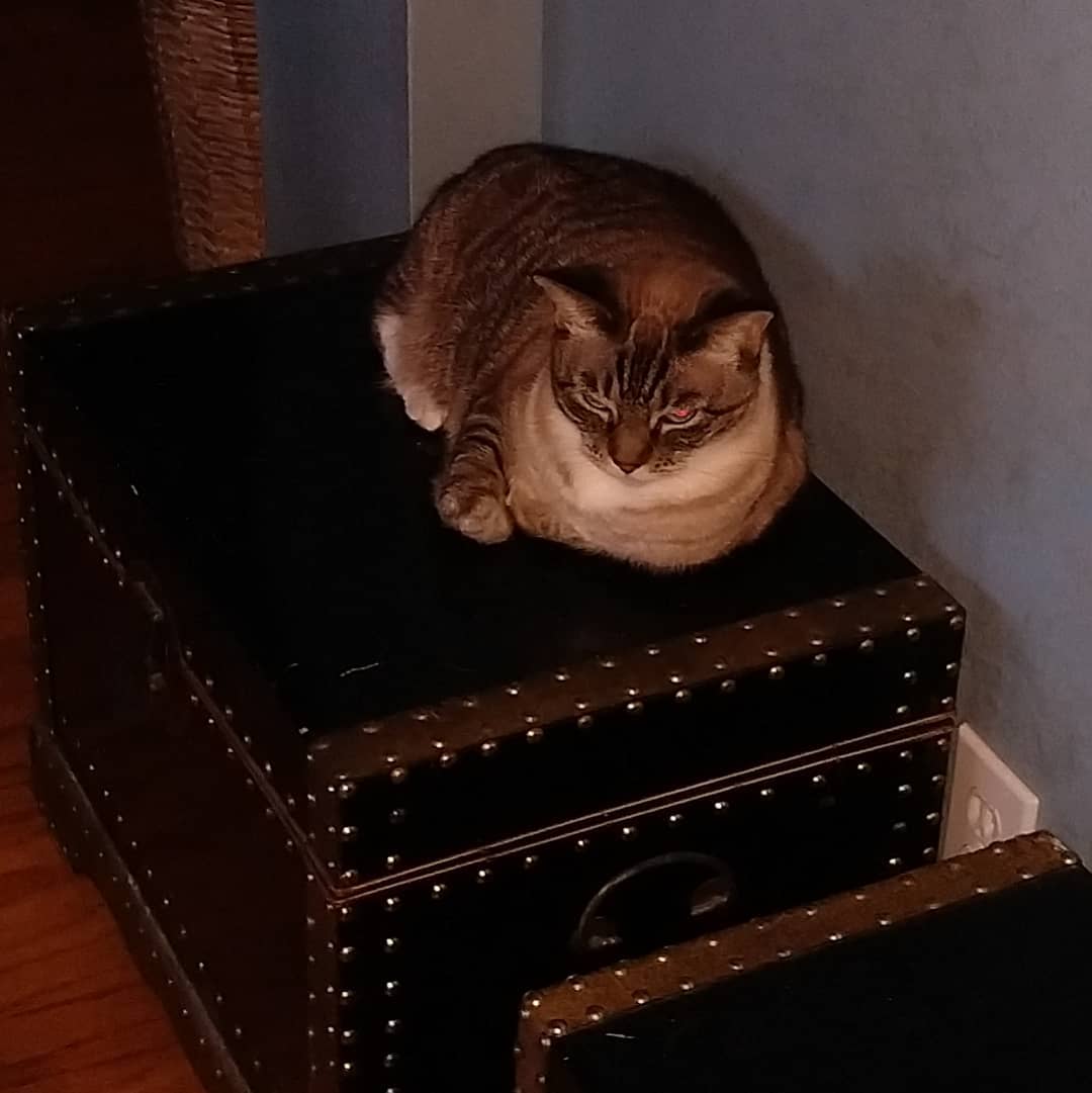 click for larger size