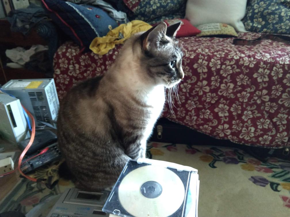 click for larger size