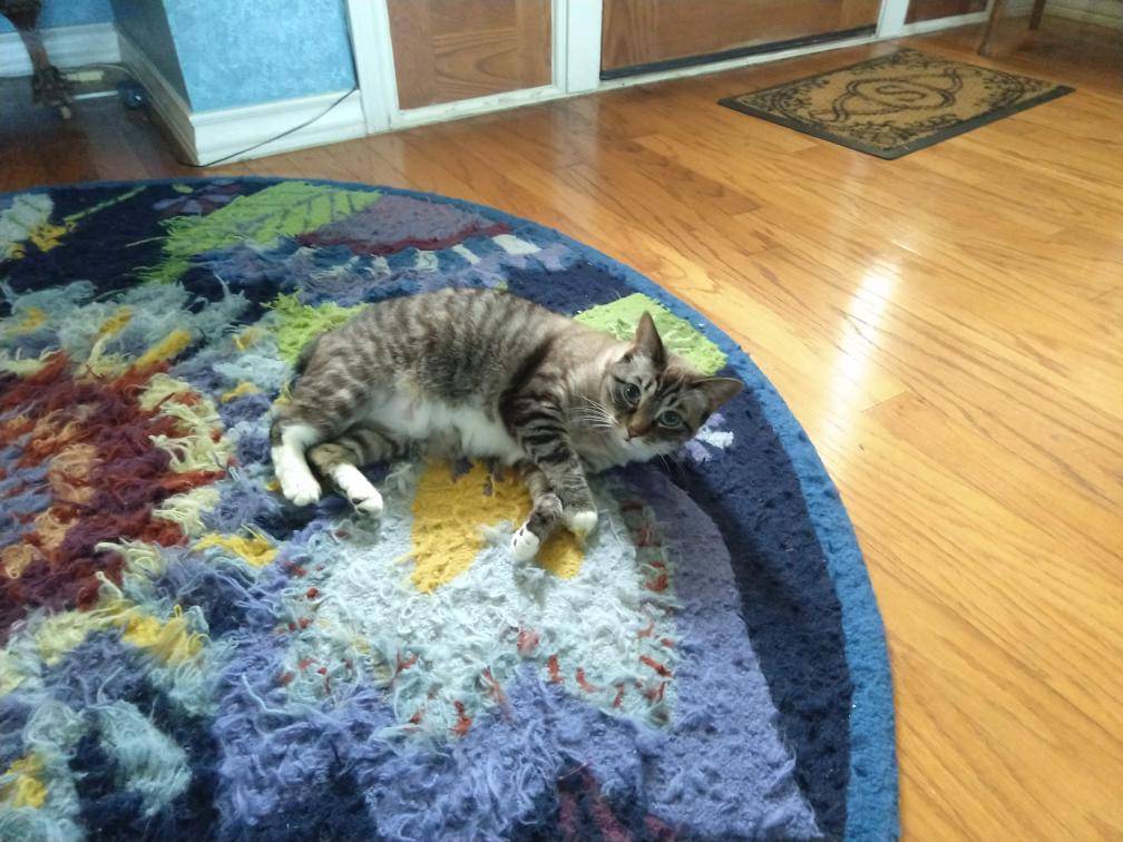 click for larger size