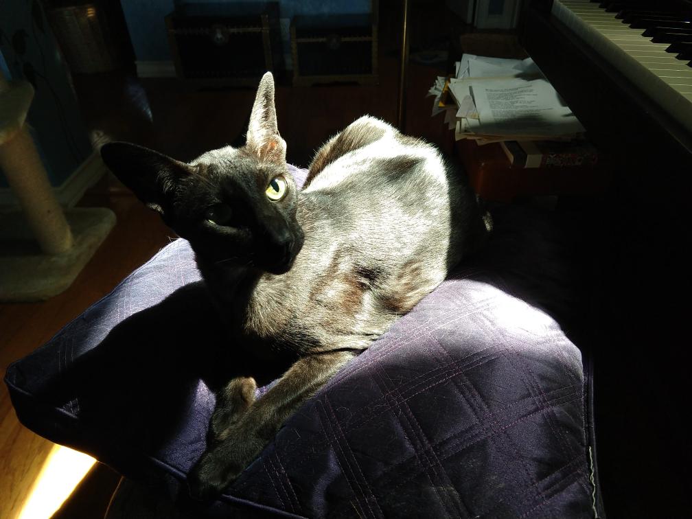 click for larger size