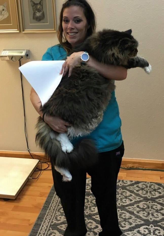 click for larger size