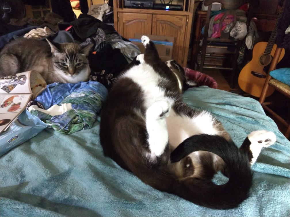 click for larger size