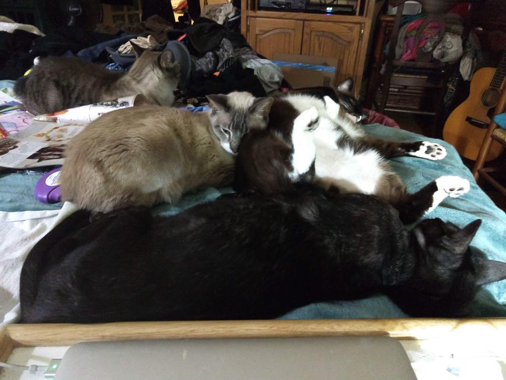 click for larger size