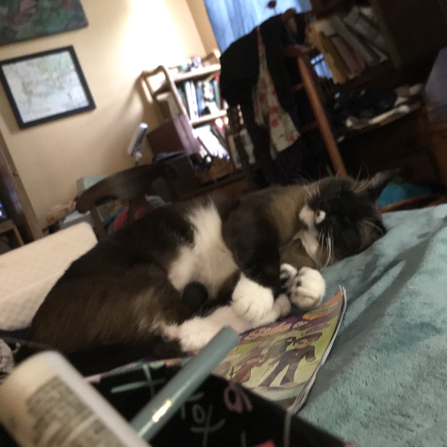 click for larger size