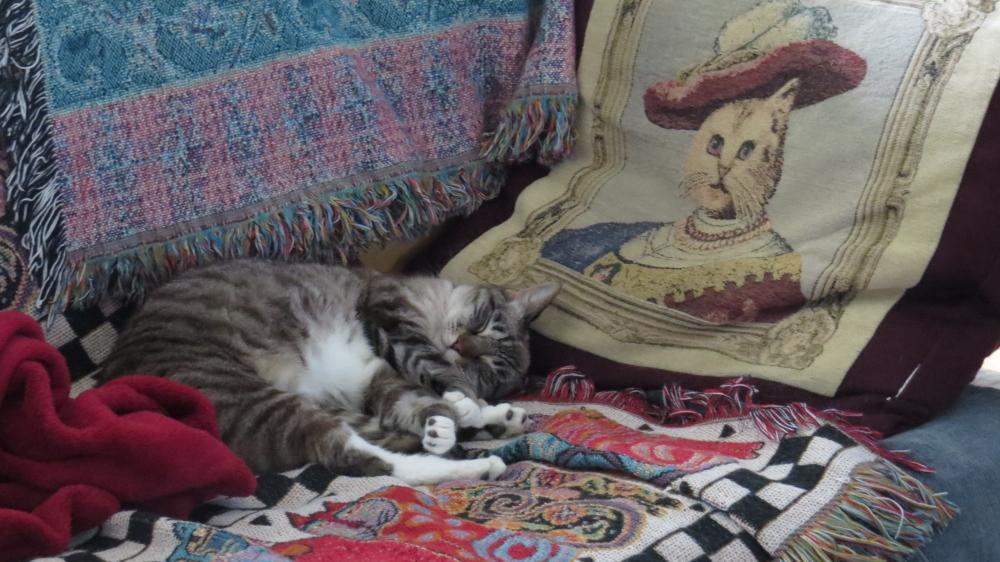 click for larger size