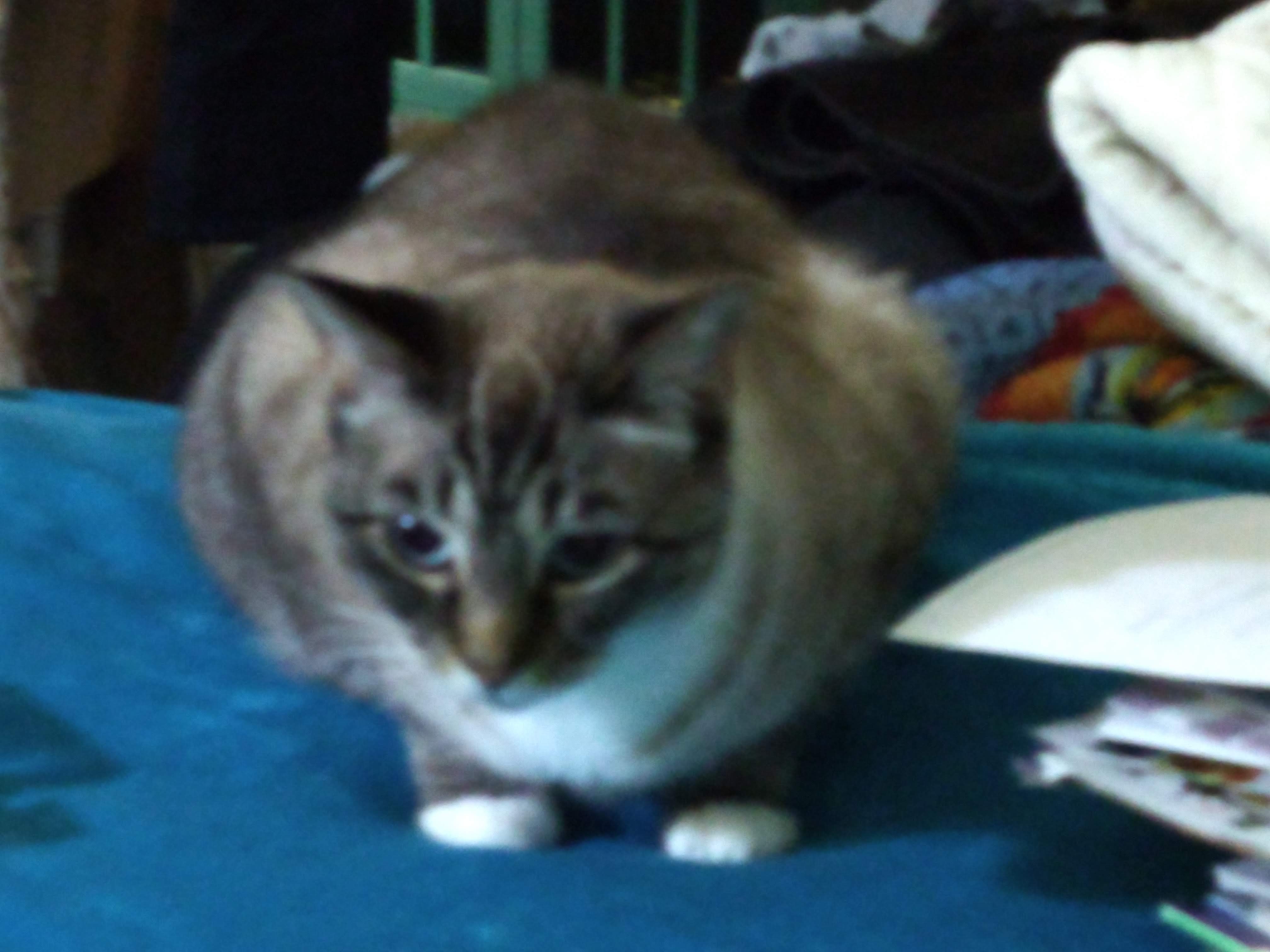 click for larger size