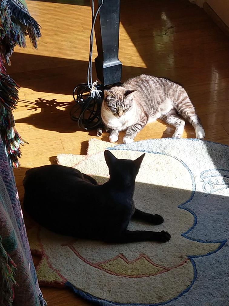 click for larger size