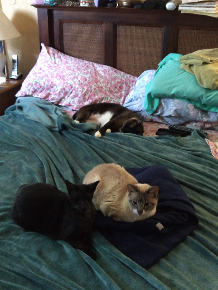 click for larger size