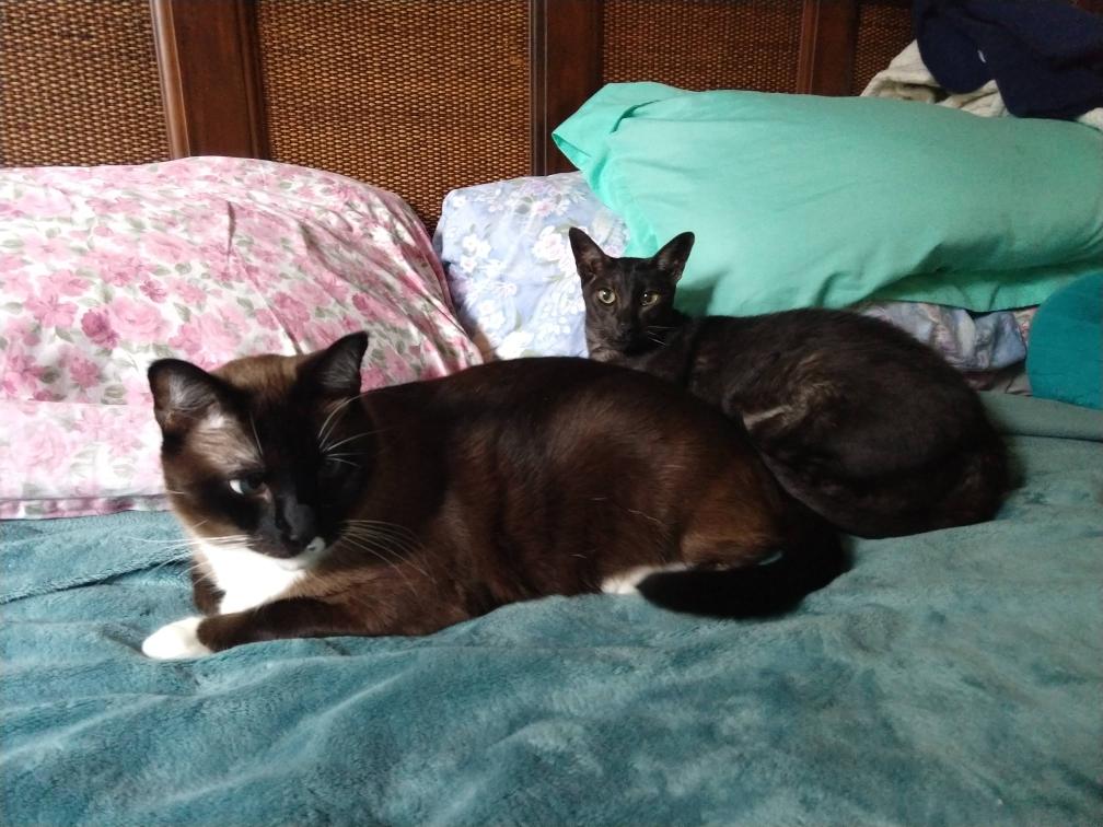 click for larger size