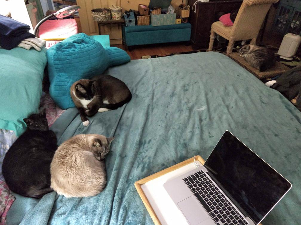 click for larger size