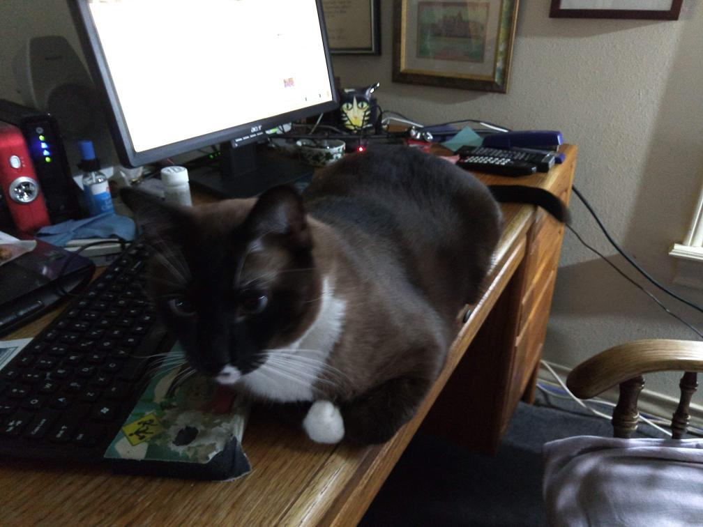 click for larger size