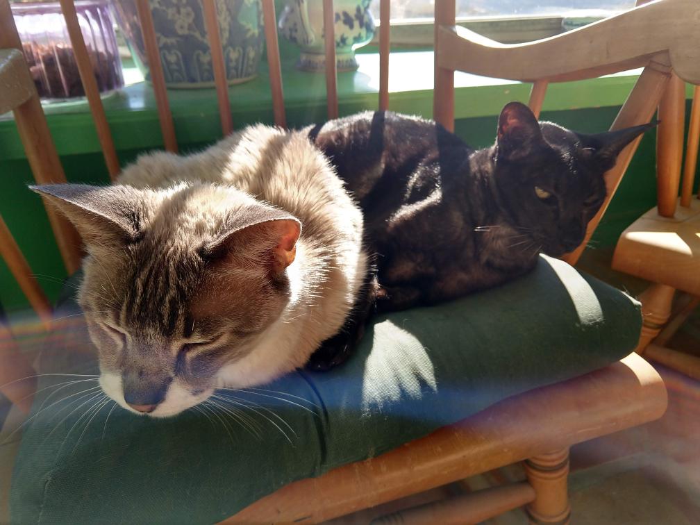 click for larger size