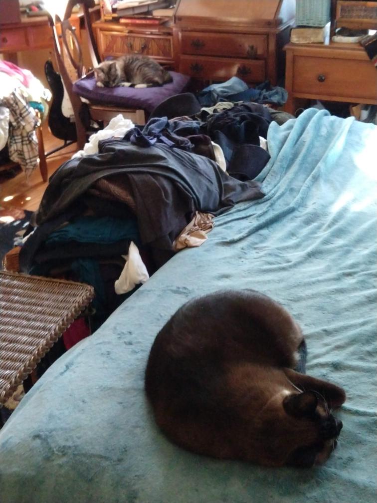 click for larger size