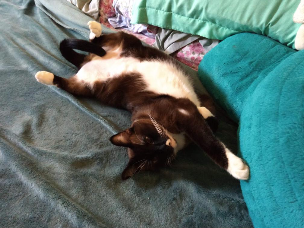 click for larger size