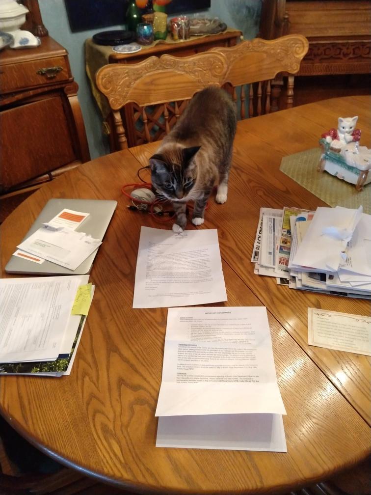 click for larger size