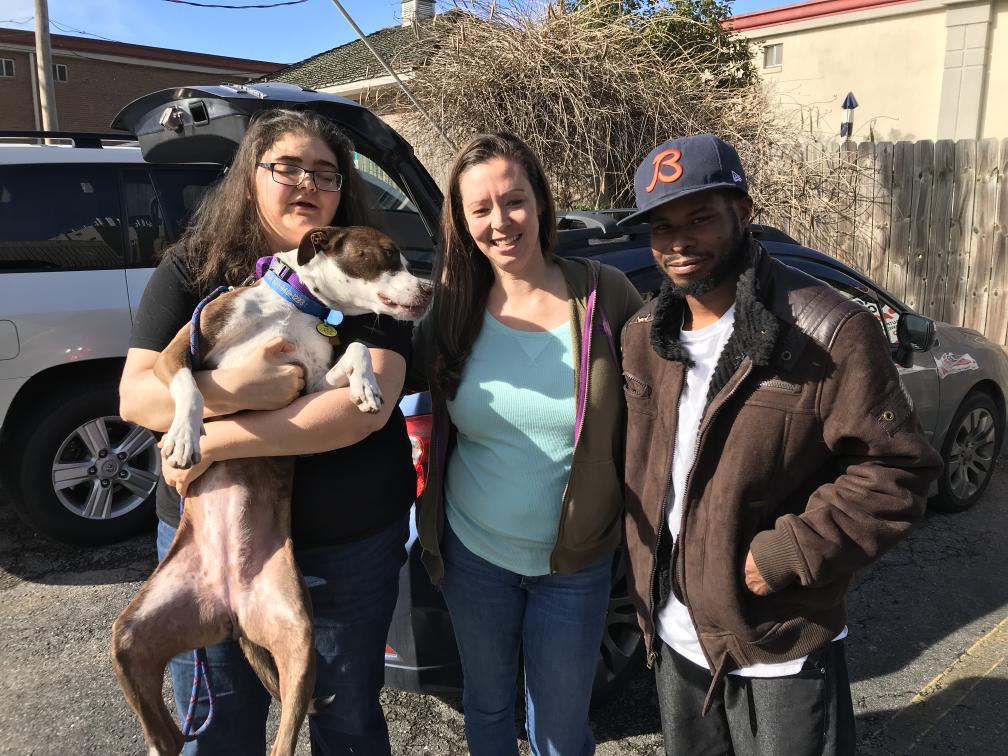 click for larger size