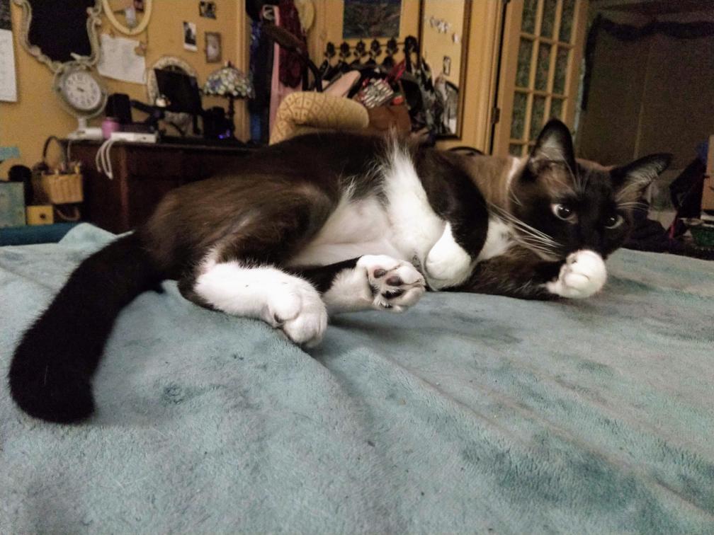 click for larger size