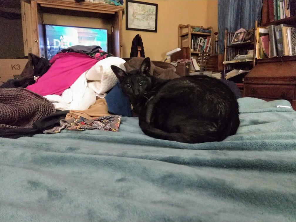 click for larger size