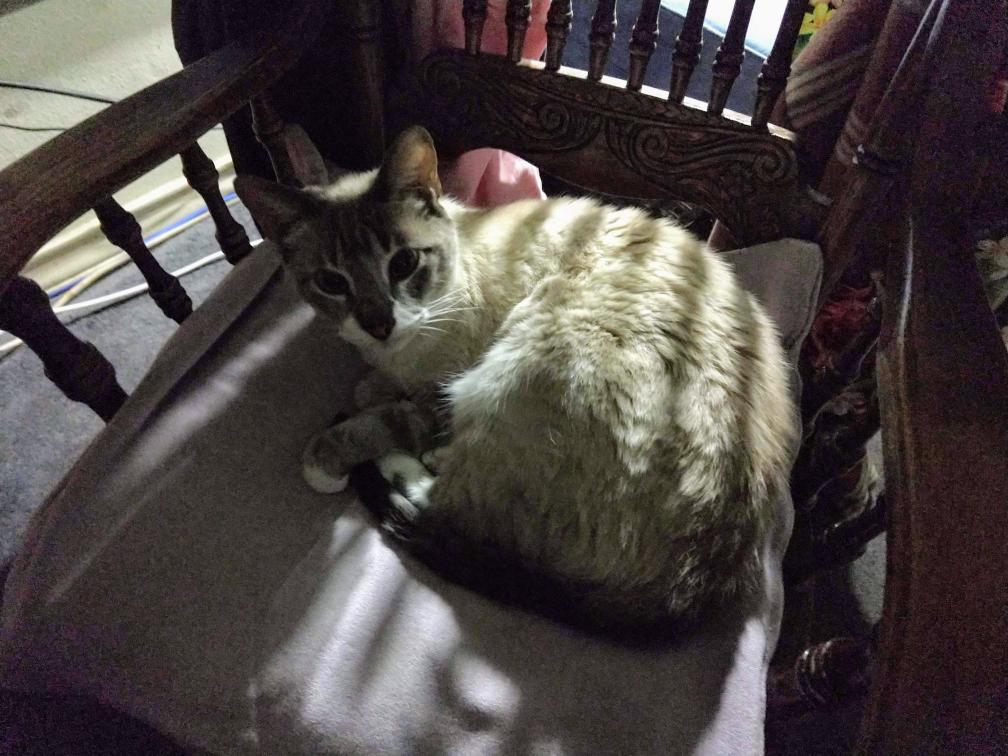 click for larger size