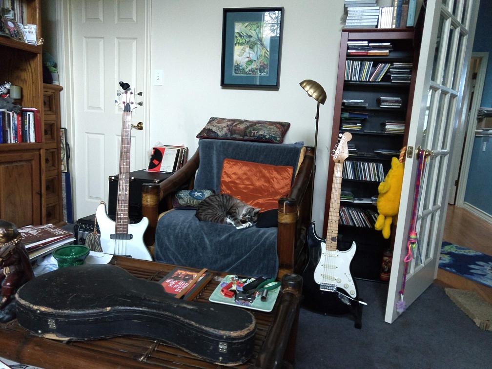 click for larger size