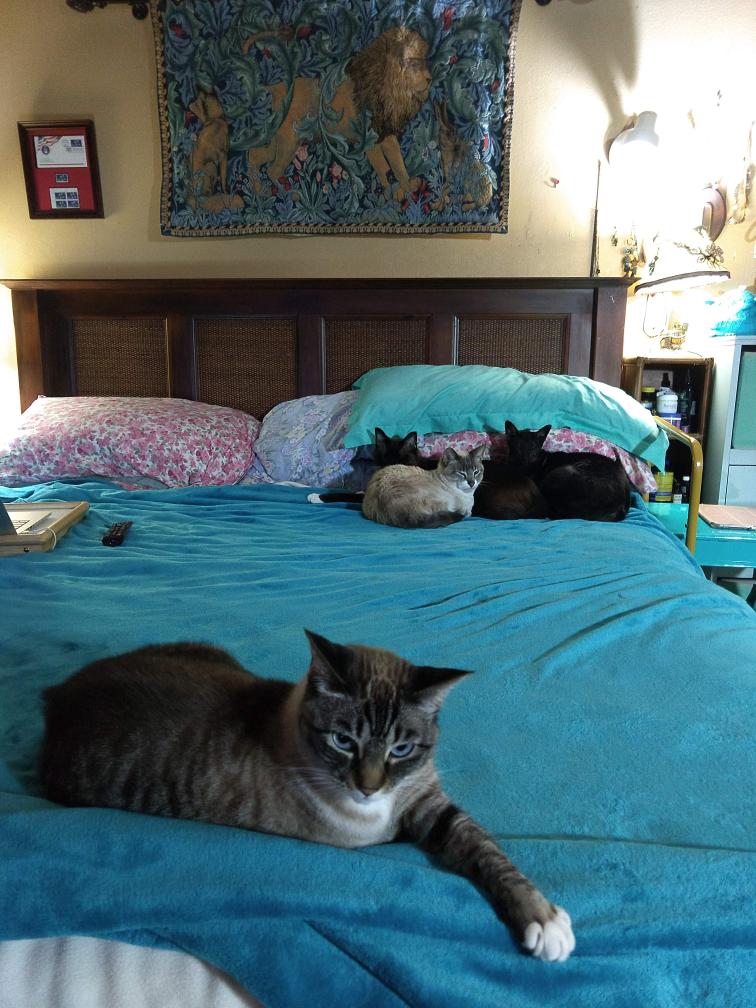 click for larger size