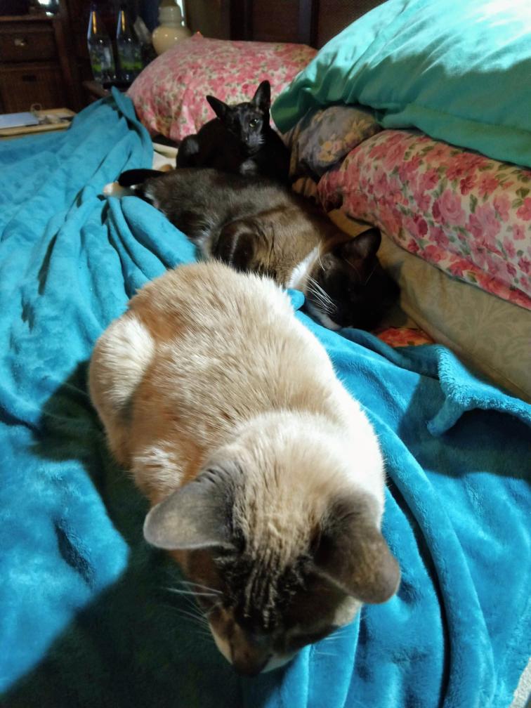 click for larger size