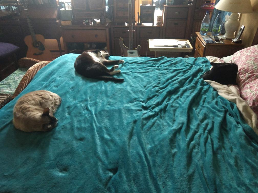 click for larger size