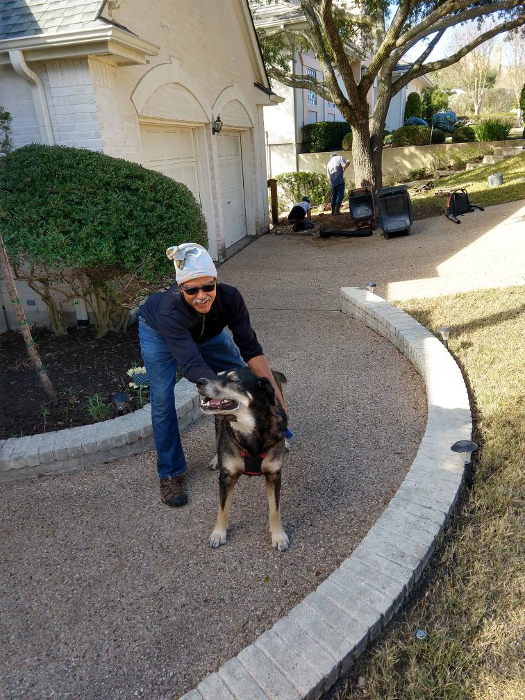 click for larger size