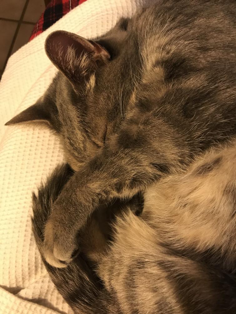 click for larger size