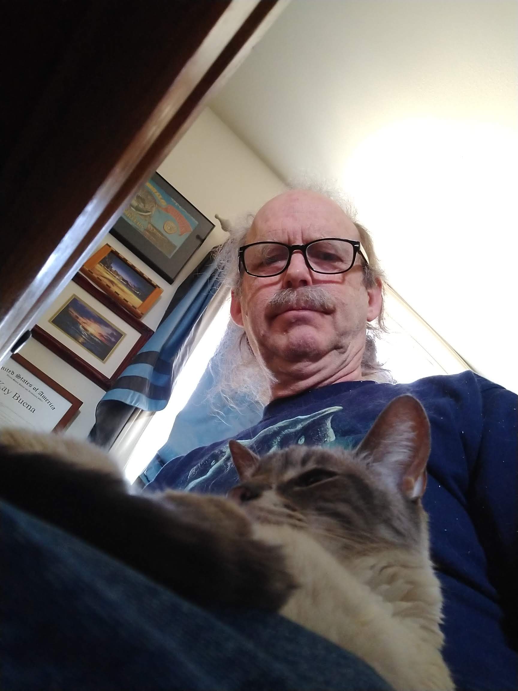 click for larger size